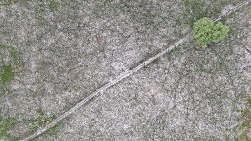 DJI_2871.JPG